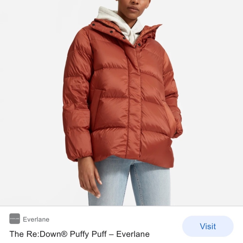 Everlane ReNew Puffy Puff Jacket